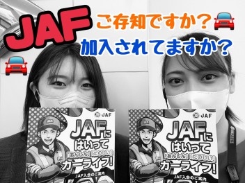 JAFはいってますか？？